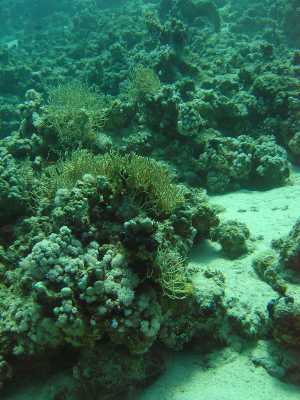 red sea_049.jpg